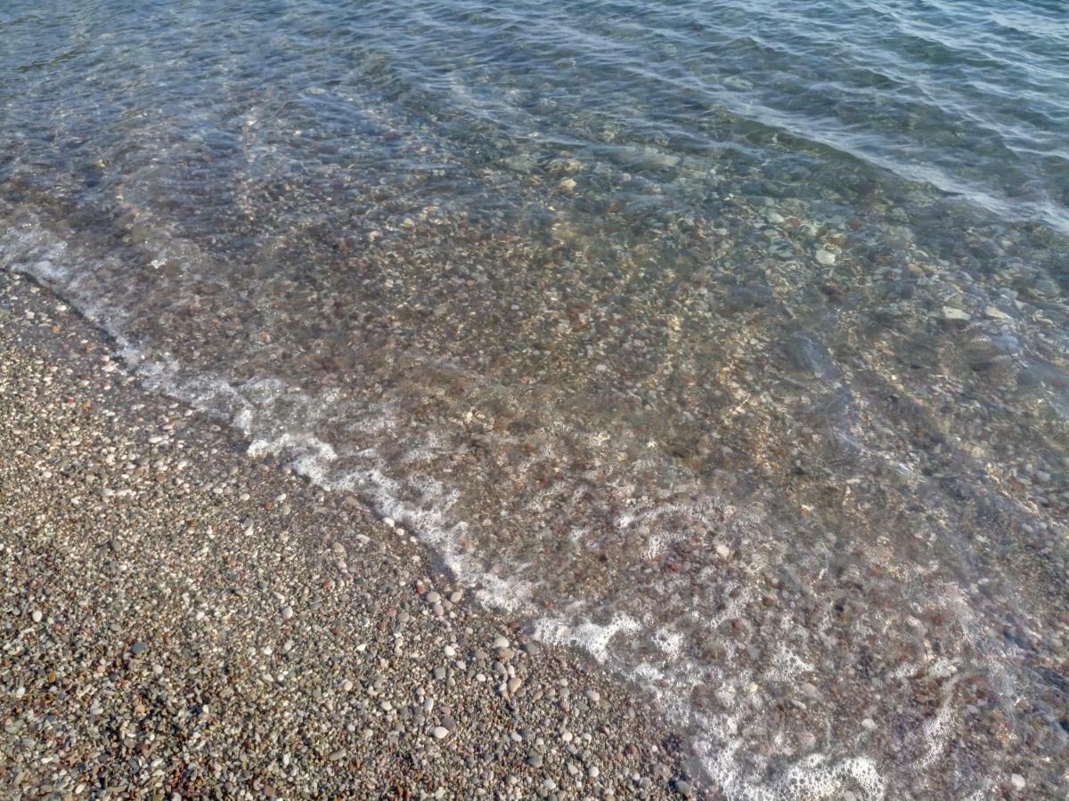 Zagradge I.n. * Sutomore